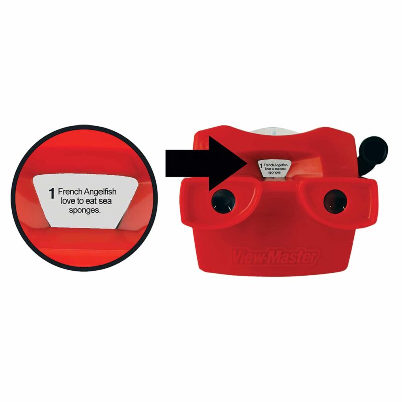 Viewmaster Boxed Set - US 2814