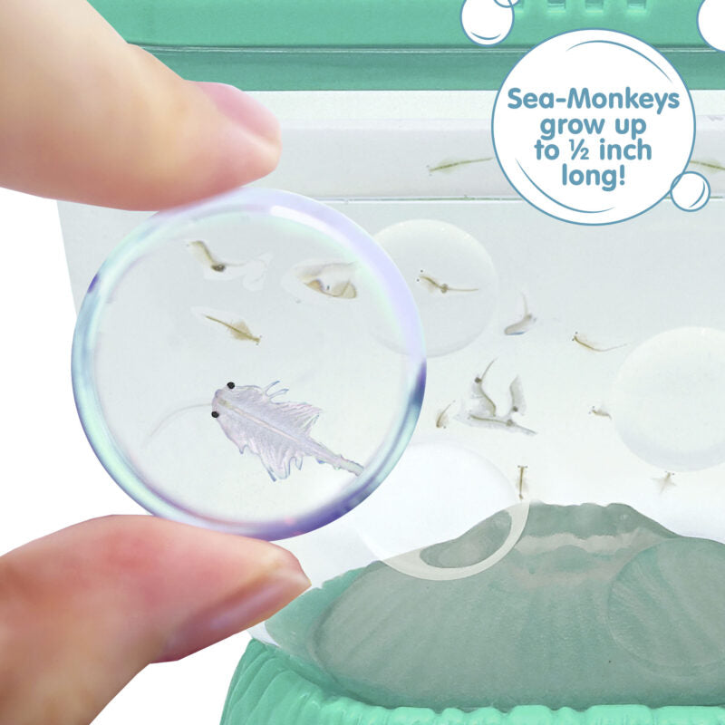 Sea-Monkeys Ocean Volcano - US 1824