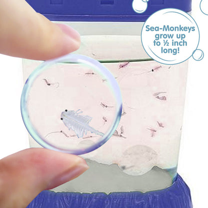 Sea-Monkeys Magiquarium - US 5462